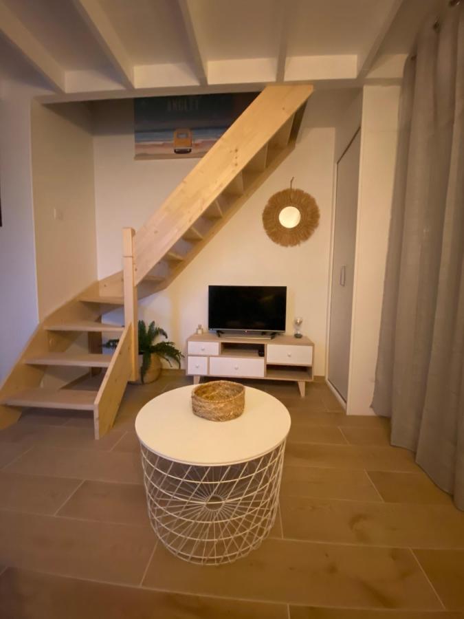 Superbe Appartement Climatise Entre Mer Et Montagne アングレット エクステリア 写真
